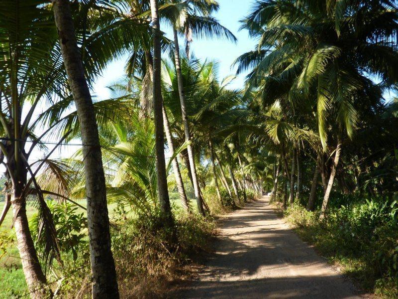 Coconut Grove Beach Resort Колва Экстерьер фото